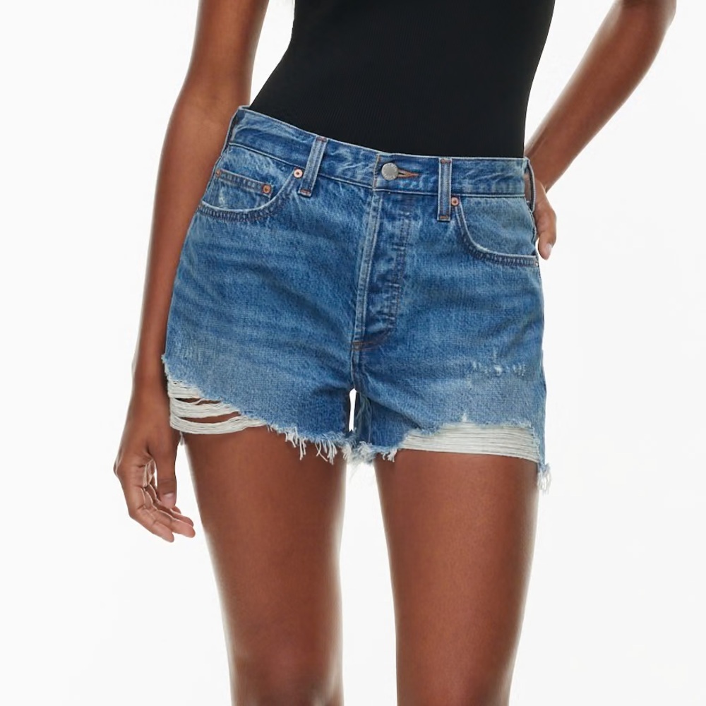 Aritzia The Ex Boyfriend Short